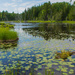 Beaver Pond, Mactaquac Provincial Park, New Brunswick by mgmurray