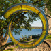 Circle framing life? by mgmurray