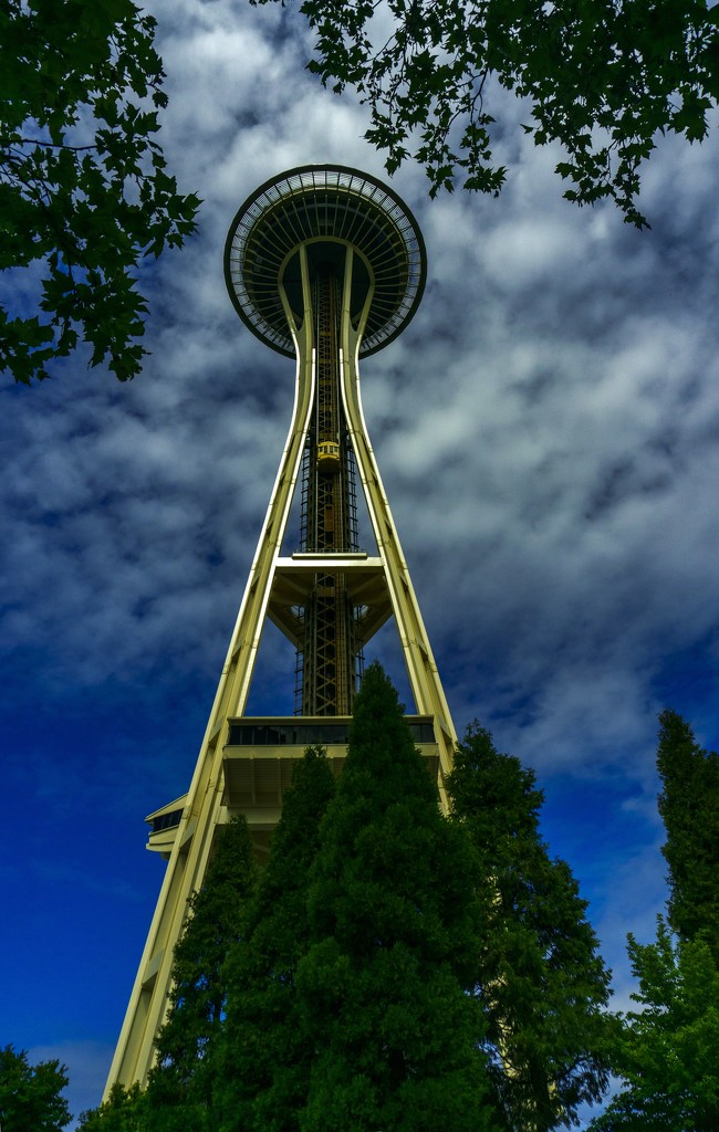 Seattle Icon 2 by granagringa