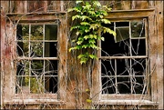 21st Jul 2019 - Rustic Windows on an Old Barn