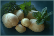 22nd Jul 2019 - Winter potatoes