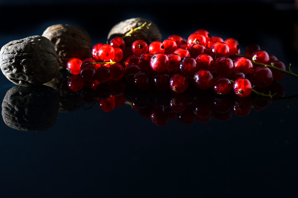 Red currant by caterina