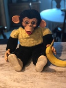 22nd Jul 2019 - Bim Zippy Chimp