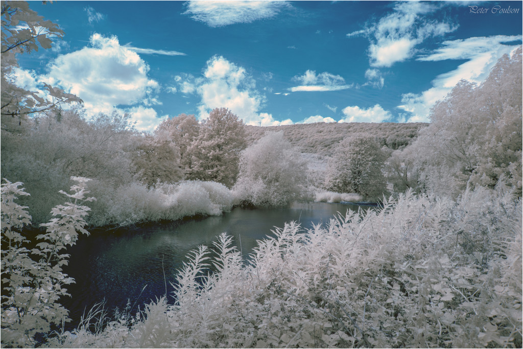 Infrared Riverside by pcoulson
