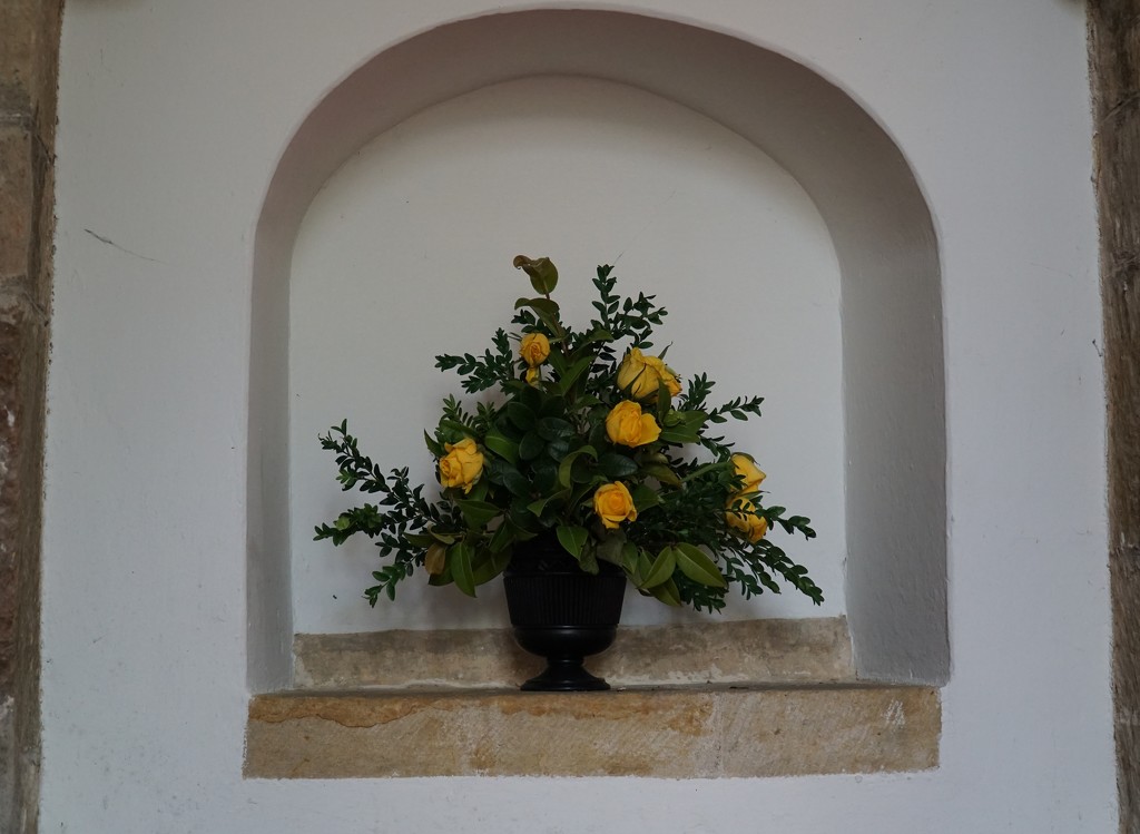 yellow roses in an alcove by quietpurplehaze