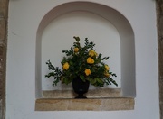 23rd Jul 2019 - yellow roses in an alcove