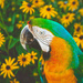 Parrot and Petals by lyndemc