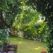Garden, Vignouse by s4sayer