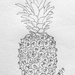 Pineapple by harveyzone