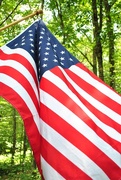 22nd Jul 2019 - Day 203: Every Day Should Be "Flag Day"