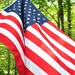 Day 203: Every Day Should Be "Flag Day" by jeanniec57