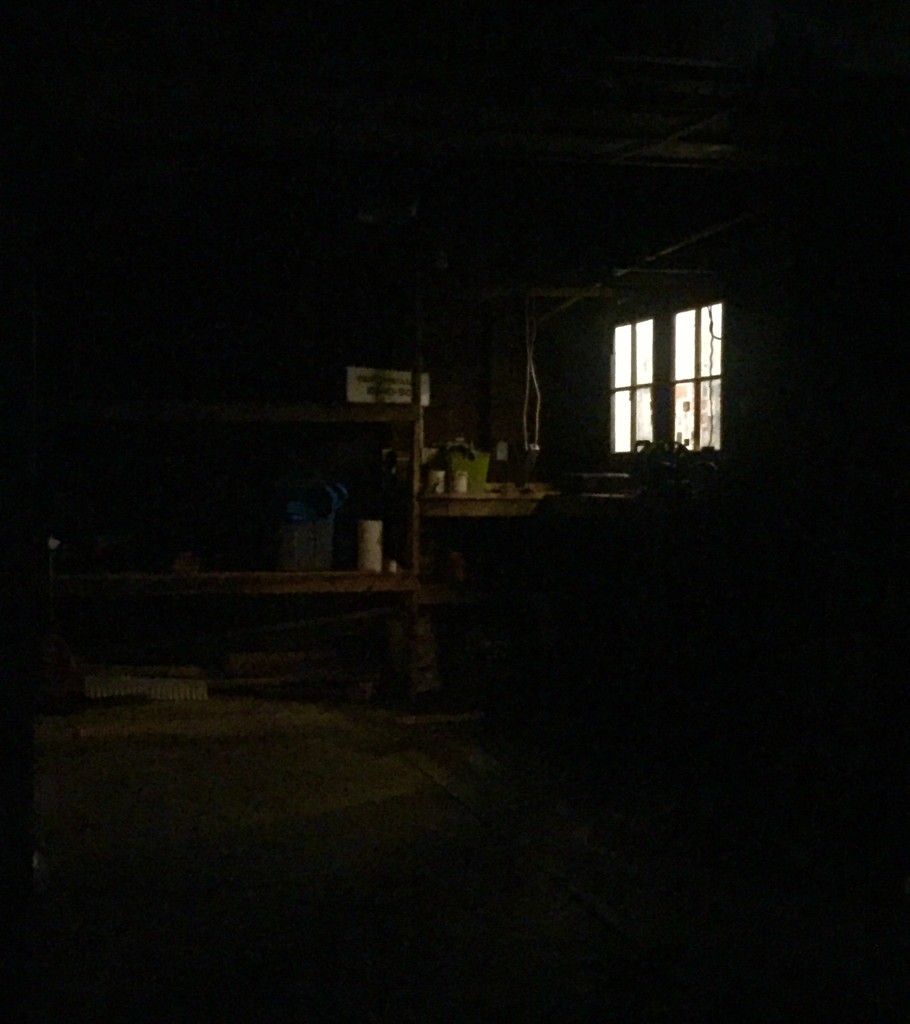 An after dark glimpse inside... by mcsiegle