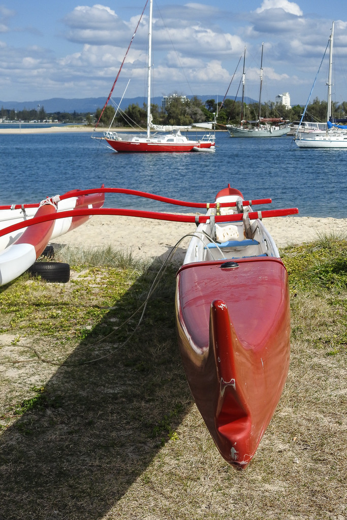 Vessels in red by jeneurell