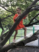 24th Jul 2019 - Tree climbing 