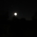 Moon over Trimley by lellie