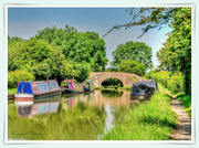 25th Jul 2019 - Tranquil Canal Life