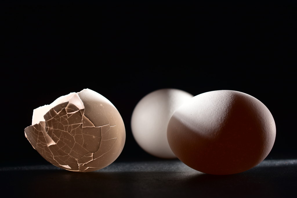 The Perils of Egg Photography by jayberg