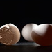 The Perils of Egg Photography by jayberg