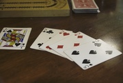 26th Jul 2019 - Almost a Perfect Hand!