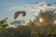 25th Jul 2019 - Paraglider