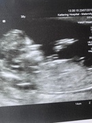 23rd Jul 2019 - New Penney - cannot wait 🥰
