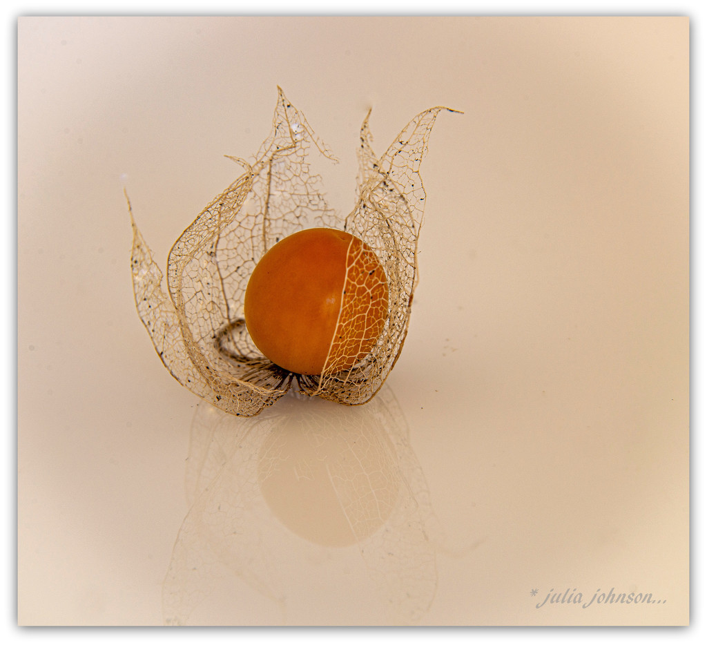 Gooseberry.. by julzmaioro