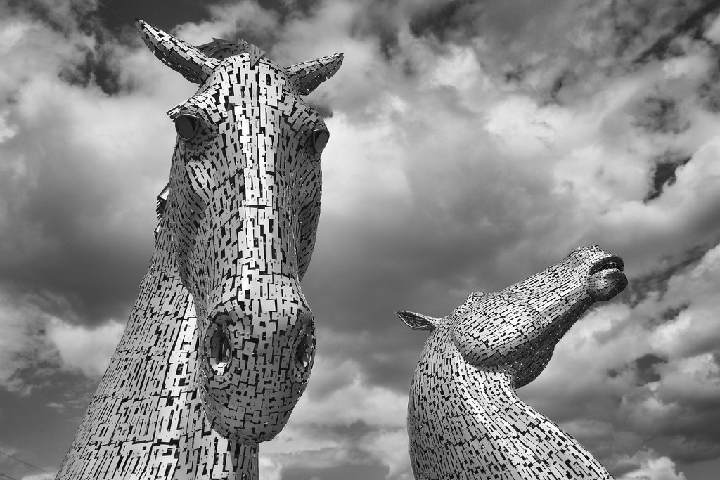 The Kelpies - a different perspective by jamibann