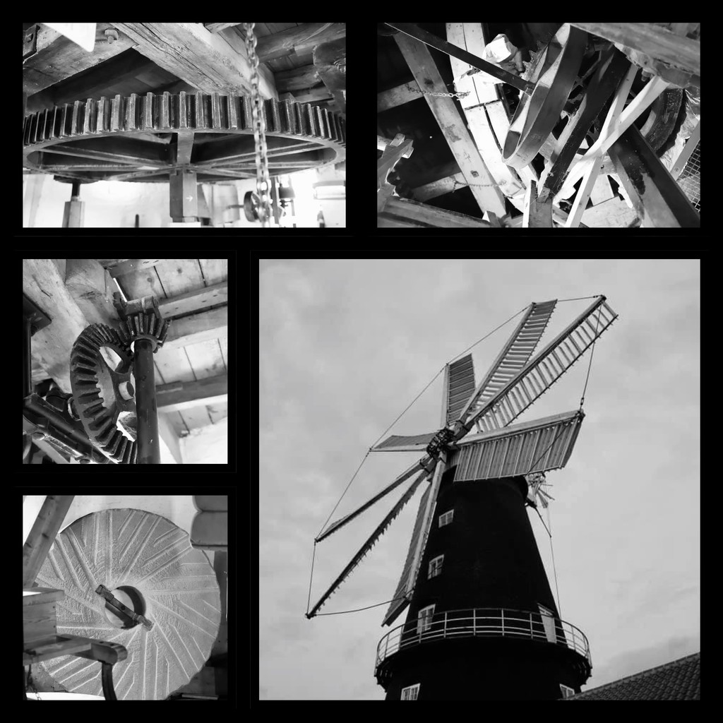 Windmill Montage  by phil_sandford