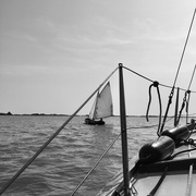 27th Jul 2019 - Sailing with the Corniche Crabber Sturdy
