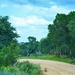 A Hill Country Road by louannwarren
