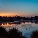 Sunrise at No 1 pond by joansmor