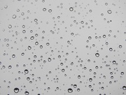 28th Jul 2019 - Raindrops on a window