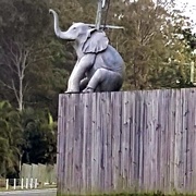 29th Jul 2019 - An Elephant Sitting On A Fence?  A drive by shot.