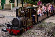28th Jul 2019 - Miniature steam train