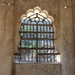 Elephant Enclosure Window by nicolecampbell