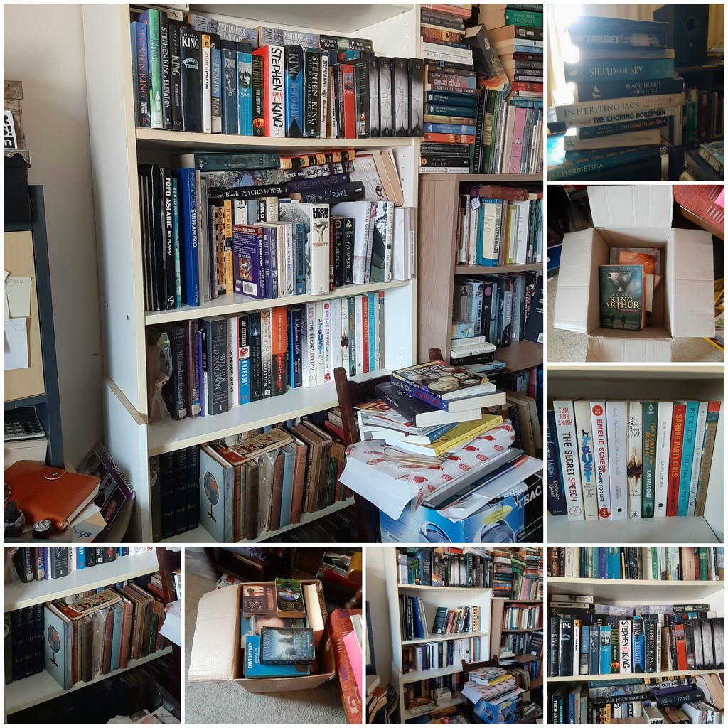 Big Book Clean-Out Part II by mozette