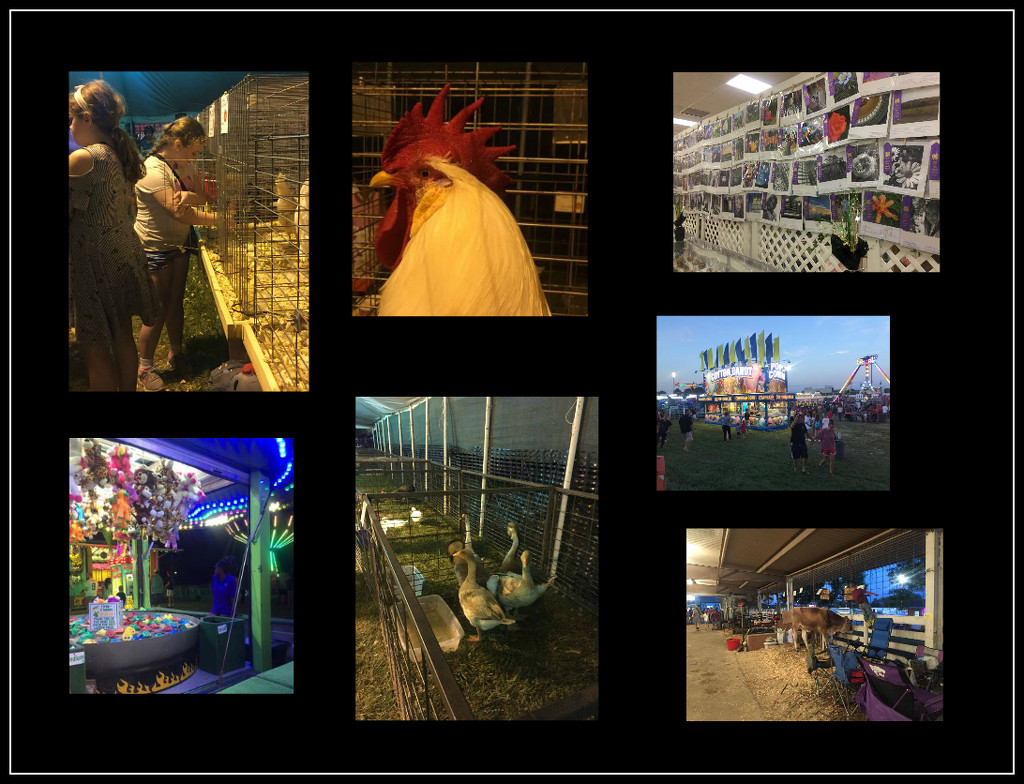 Riley County Fair by mcsiegle