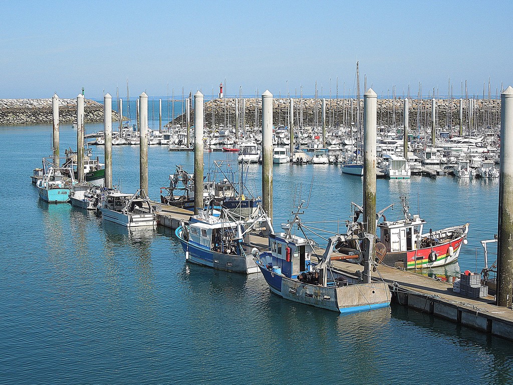 Saint Quay Portrieux : the harbour by etienne