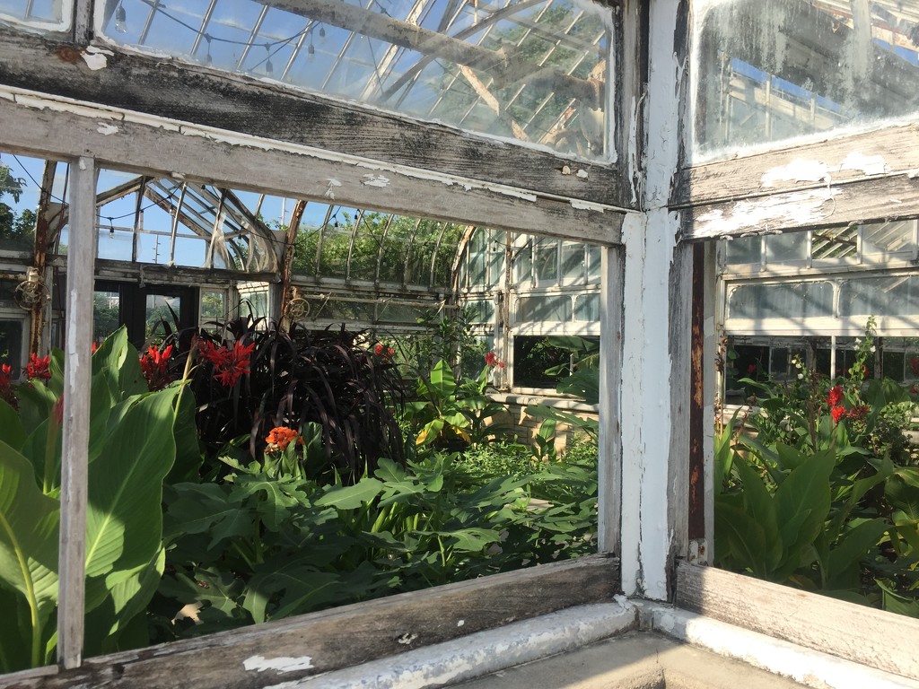 University Gardens Greenhouse #2 by mcsiegle