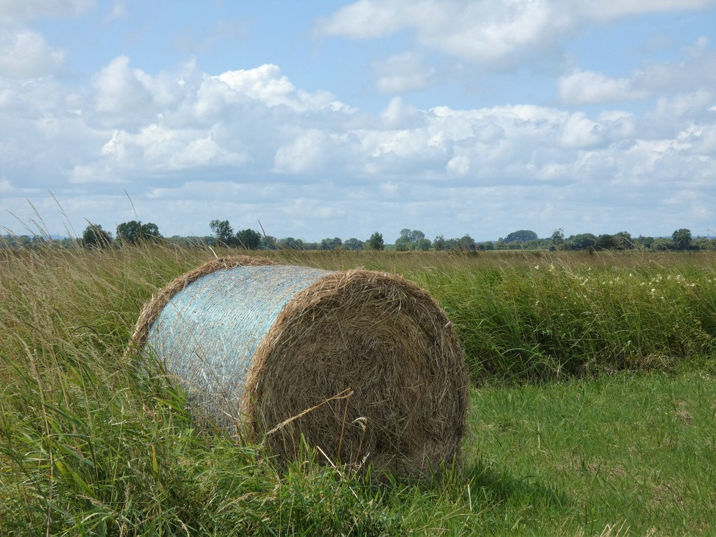 Hay on the Levels by julienne1