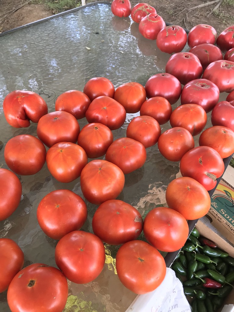 Roadside produce by maysvilleky