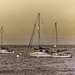 Three Yachts by frequentframes
