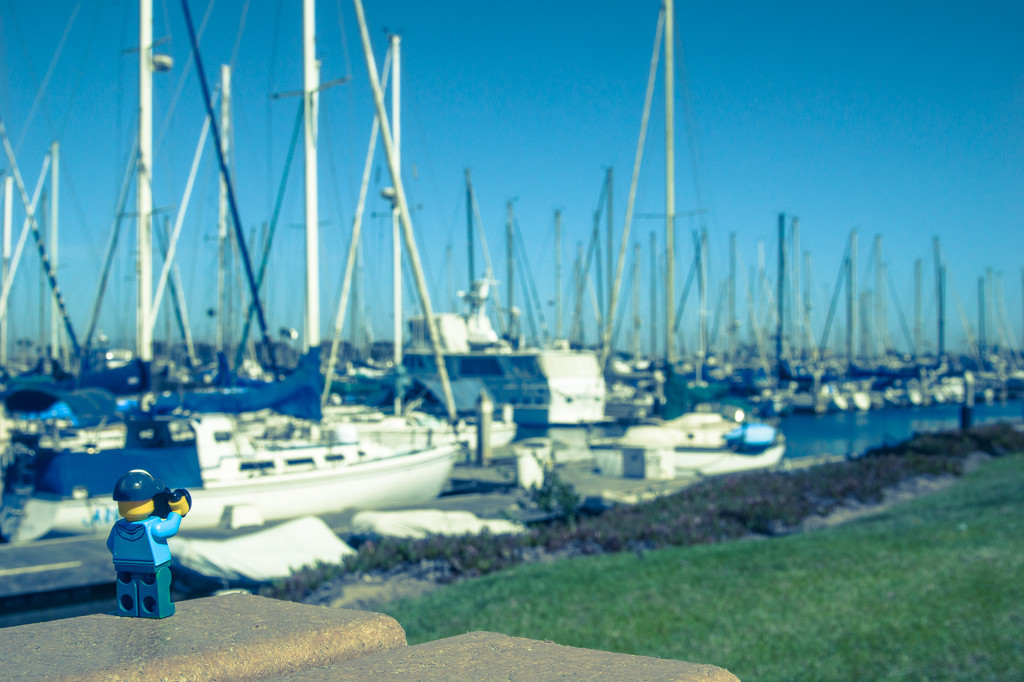 (Day 165) - Harbor On by cjphoto