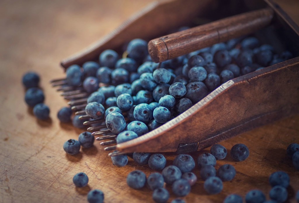 blueberries by lastrami_