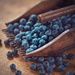 blueberries by lastrami_