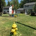 On Every Fire Hydrant by allie912