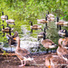 Geese galore  by stuart46