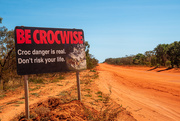 31st Jul 2019 - be crocwise