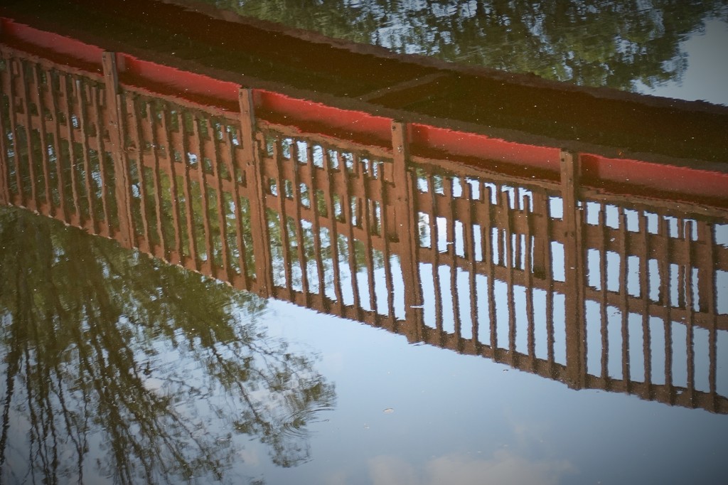 Bridge reflection by tunia