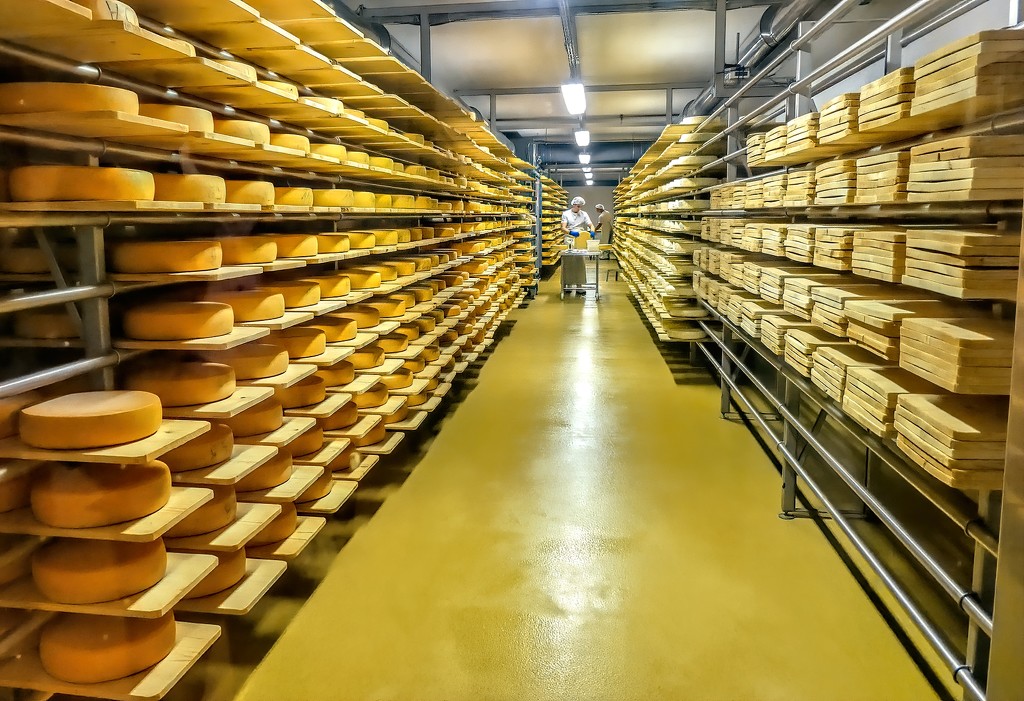 A visit to a cheese factory. by ludwigsdiana